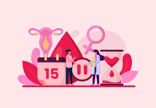 Ilustración sobre menstruación, perimenopausia y menopausia