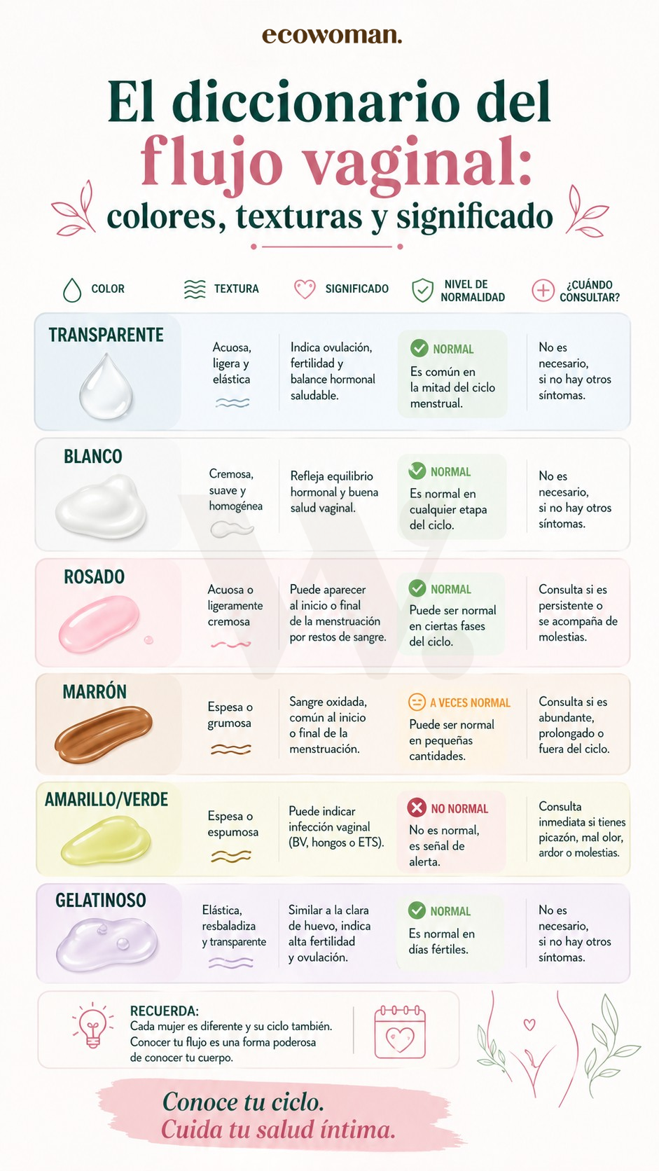 Infografía: Tipos de flujo vaginal y su significado: el diccionario definitivo para entender tu cuerpo
